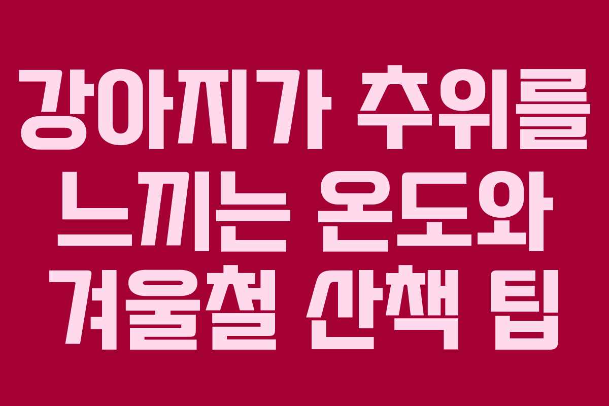 강아지가 추위를 느끼는 온도와 겨울철 산책 팁