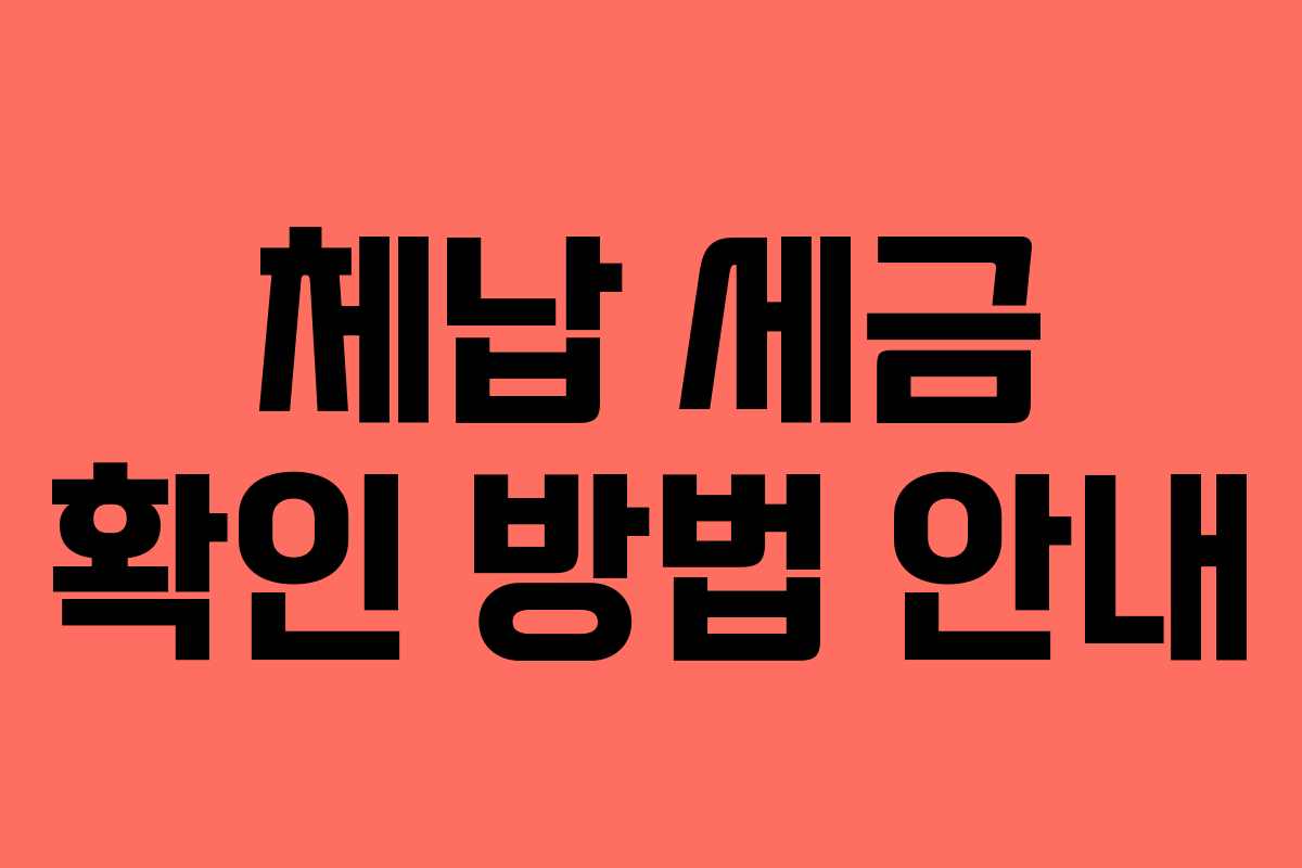 체납 세금 확인 방법 안내