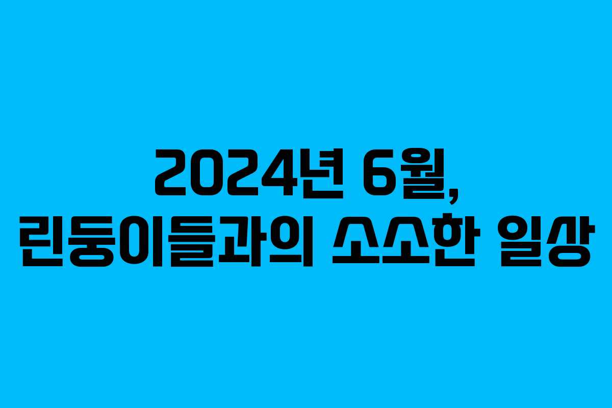 2024년 6월, 린둥이들과의 소소한 일상