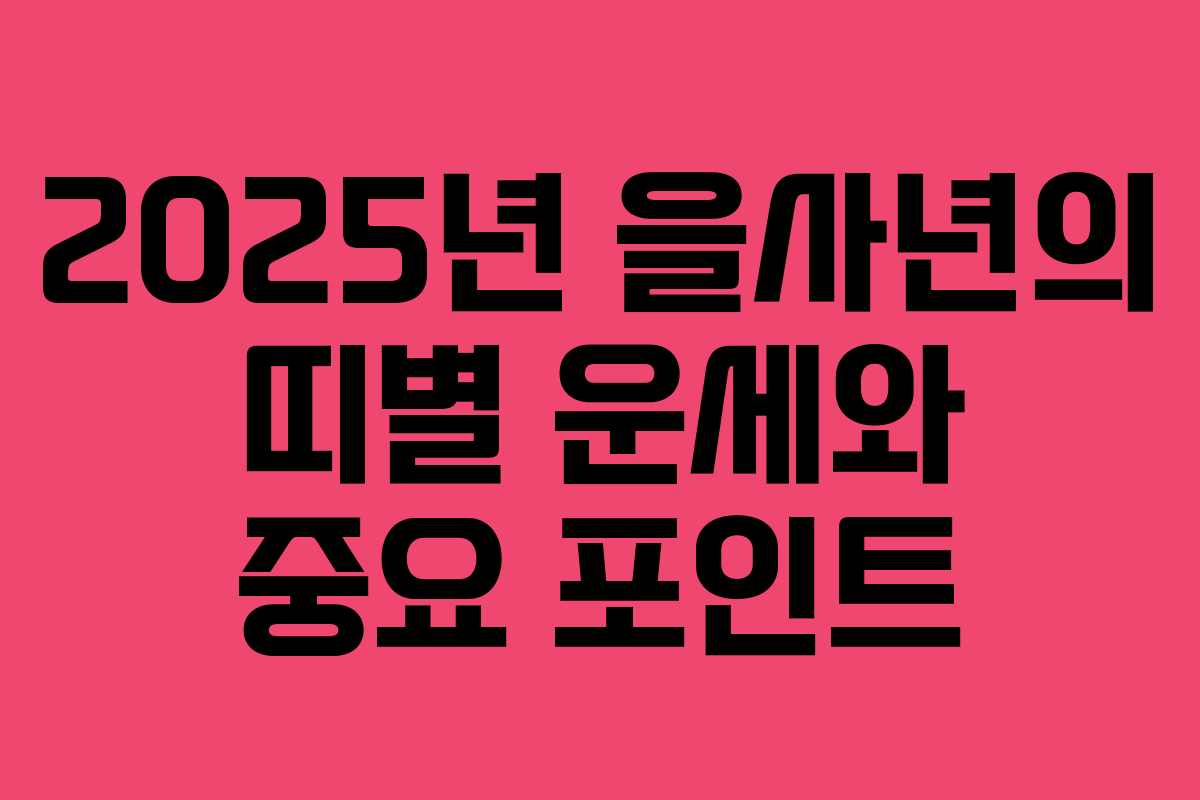 2025년 을사년의 띠별 운세와 중요 포인트