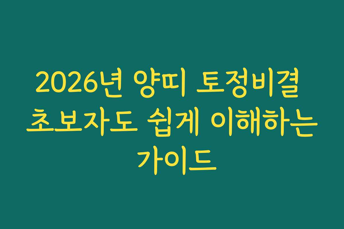 2026년 양띠 토정비결 초보자도 쉽게 이해하는 가이드