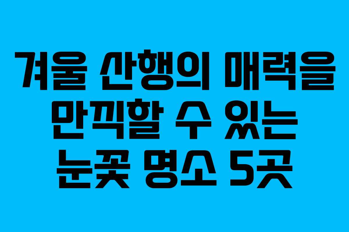 겨울 산행의 매력을 만끽할 수 있는 눈꽃 명소 5곳