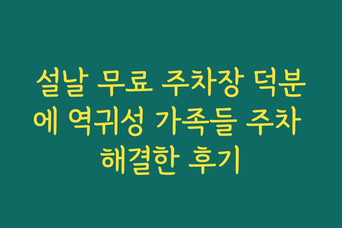 설날 무료 주차장 덕분에 역귀성 가족들 주차 해결한 후기