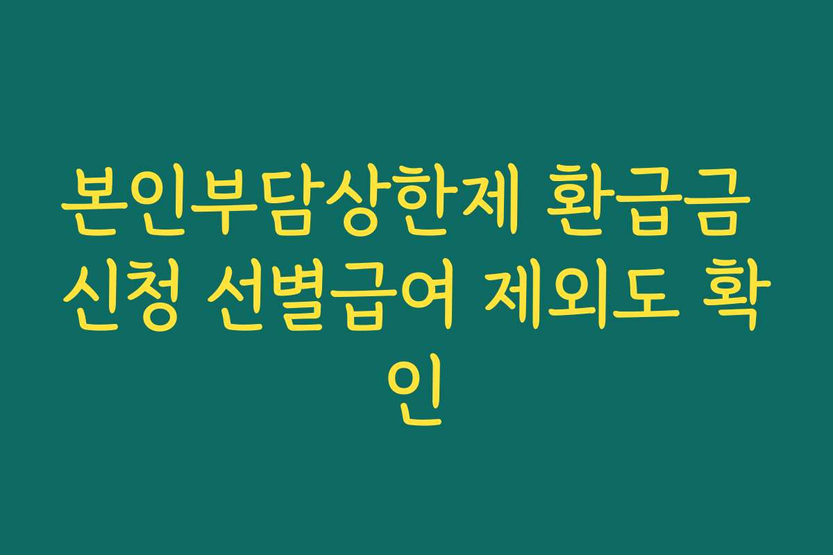본인부담상한제 환급금 신청 선별급여 제외도 확인