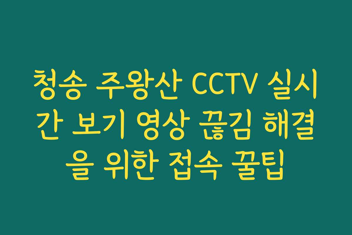 청송 주왕산 CCTV 실시간 보기 영상 끊김 해결을 위한 접속 꿀팁