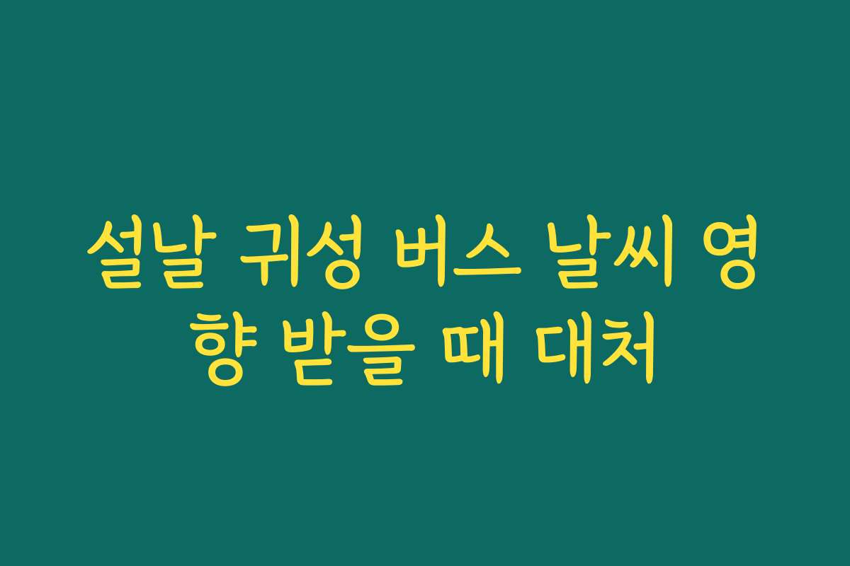 설날 귀성 버스 날씨 영향 받을 때 대처