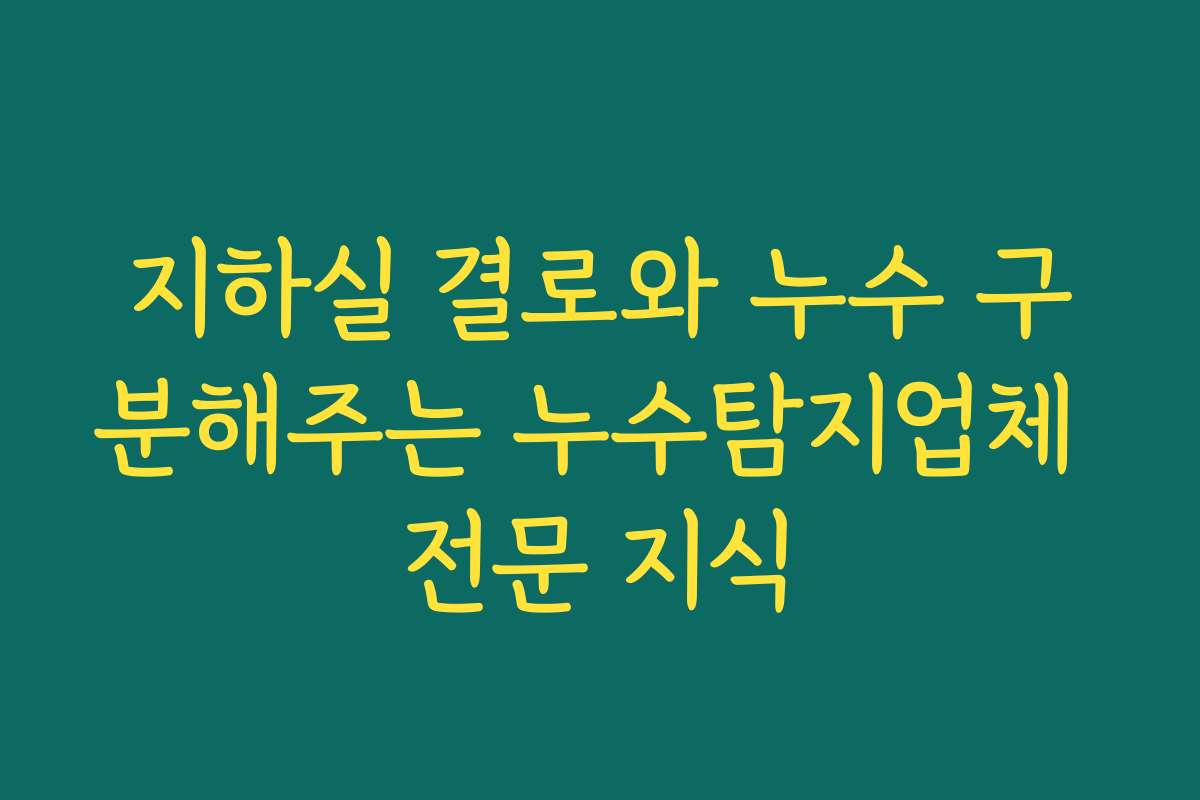 지하실 결로와 누수 구분해주는 누수탐지업체 전문 지식