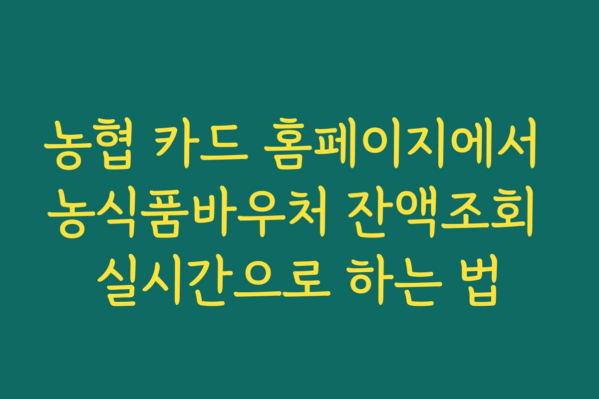농협 카드 홈페이지에서 농식품바우처 잔액조회 실시간으로 하는 법