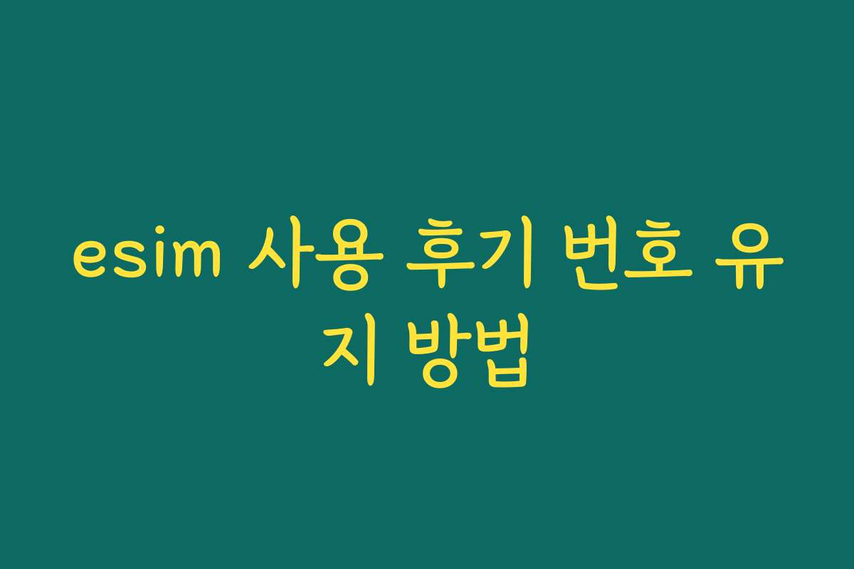 esim 사용 후기 번호 유지 방법