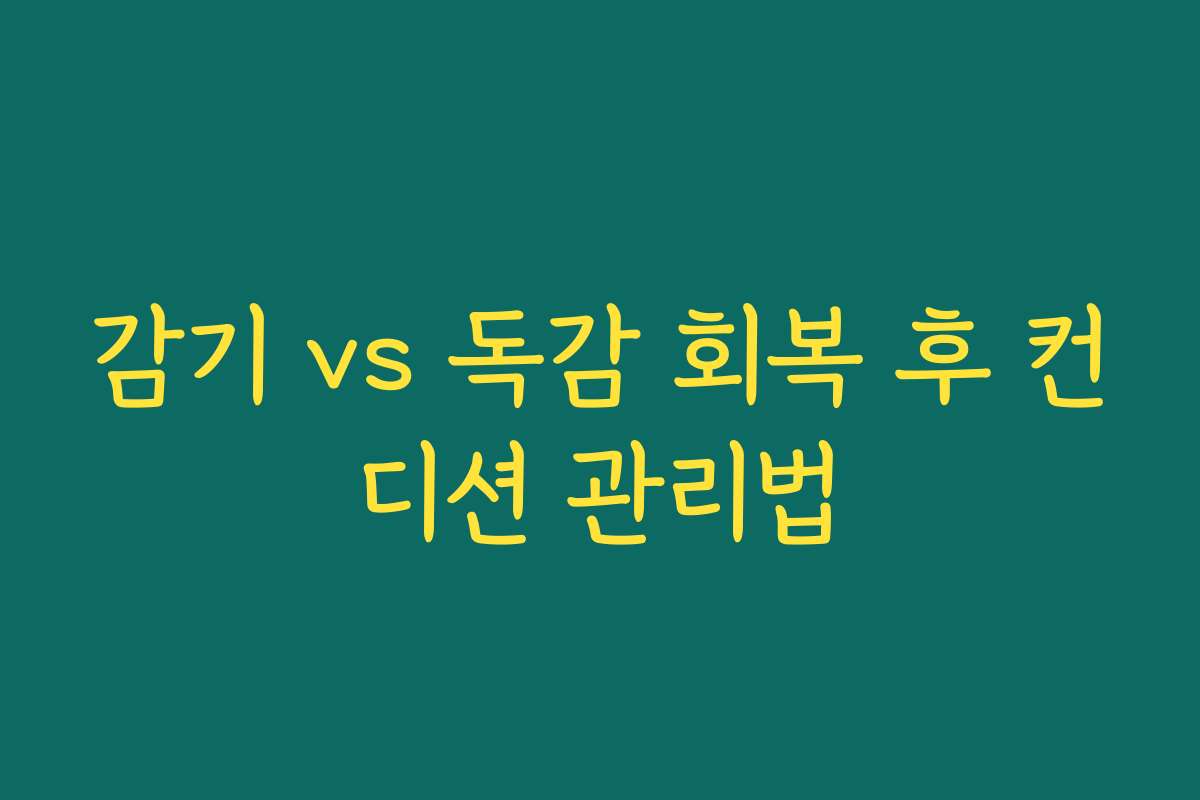 감기 vs 독감 회복 후 컨디션 관리법