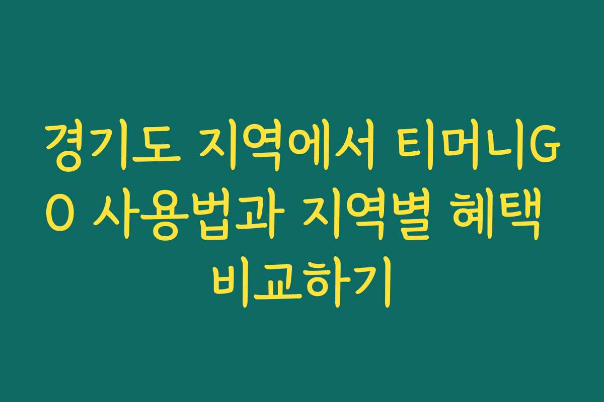 경기도 지역에서 티머니GO 사용법과 지역별 혜택 비교하기
