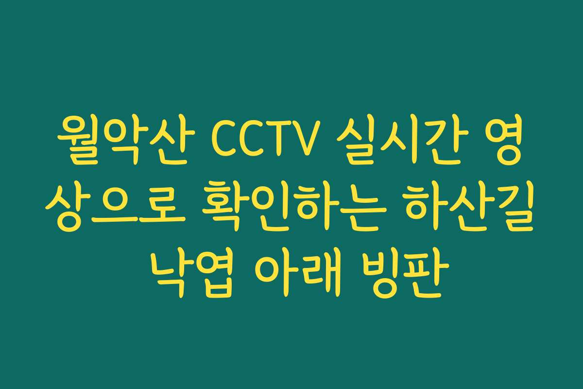 월악산 CCTV 실시간 영상으로 확인하는 하산길 낙엽 아래 빙판