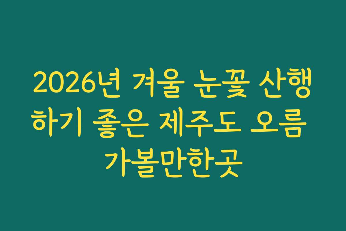 2026년 겨울 눈꽃 산행하기 좋은 제주도 오름 가볼만한곳