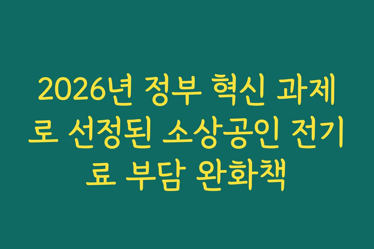 2026년 정부 혁신 과제로 선정된 소상공인 전기료 부담 완화책