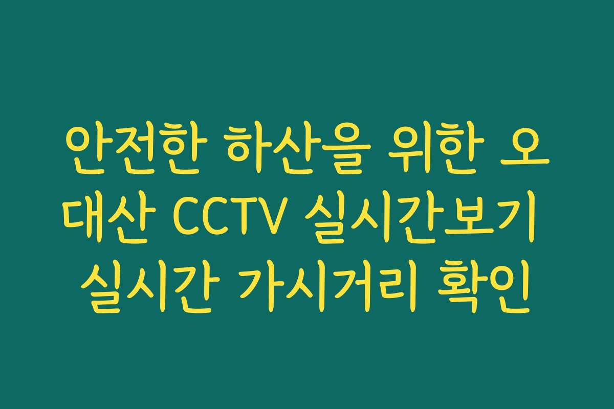 안전한 하산을 위한 오대산 CCTV 실시간보기 실시간 가시거리 확인