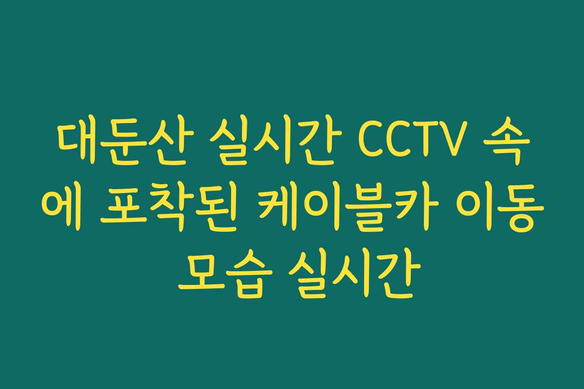 대둔산 실시간 CCTV 속에 포착된 케이블카 이동 모습 실시간