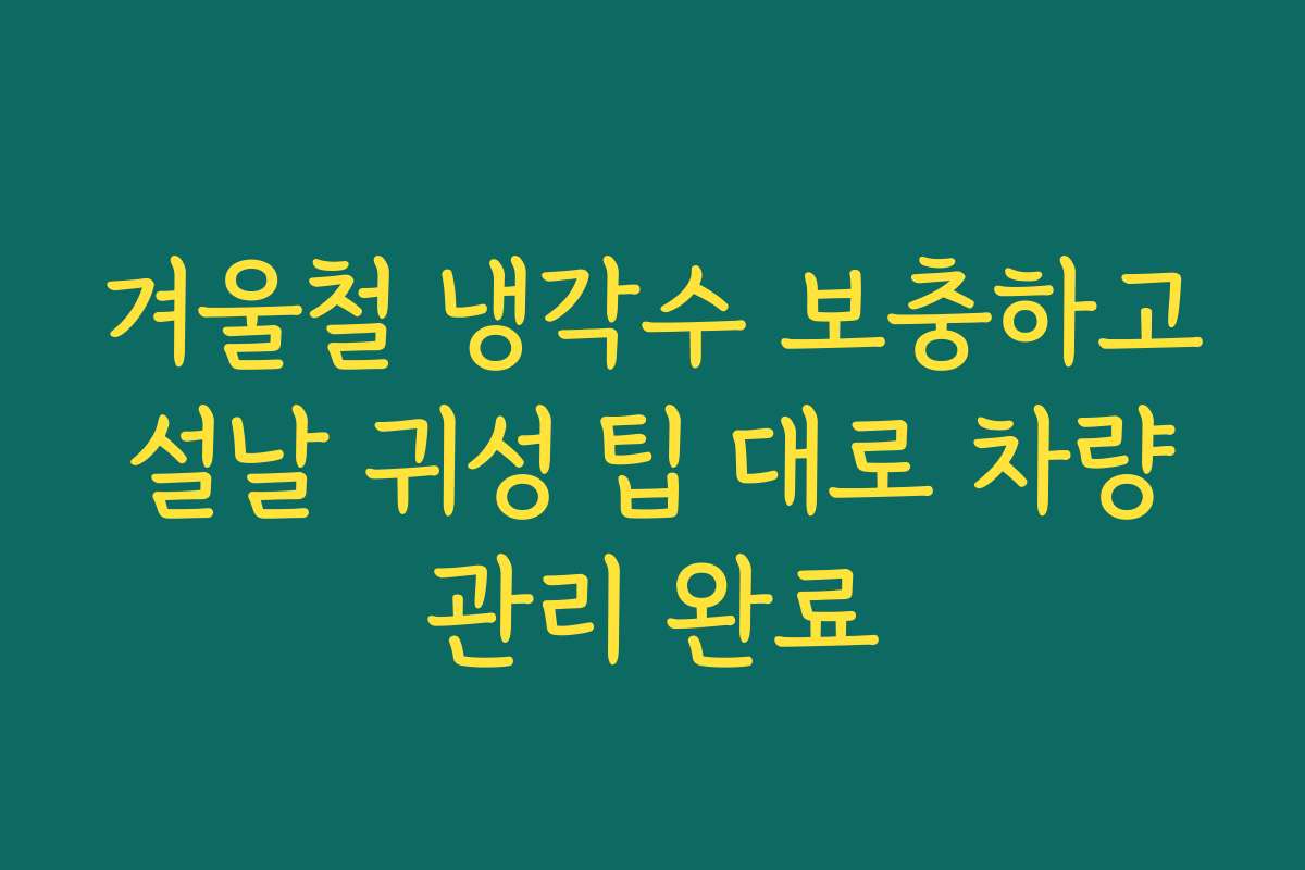 겨울철 냉각수 보충하고 설날 귀성 팁 대로 차량 관리 완료