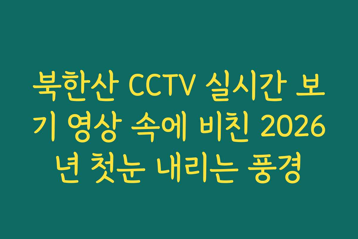 북한산 CCTV 실시간 보기 영상 속에 비친 2026년 첫눈 내리는 풍경