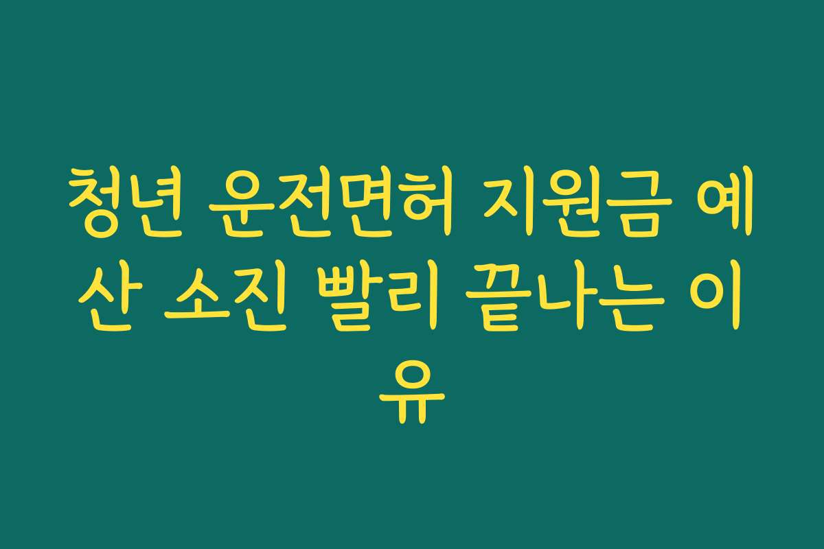 청년 운전면허 지원금 예산 소진 빨리 끝나는 이유