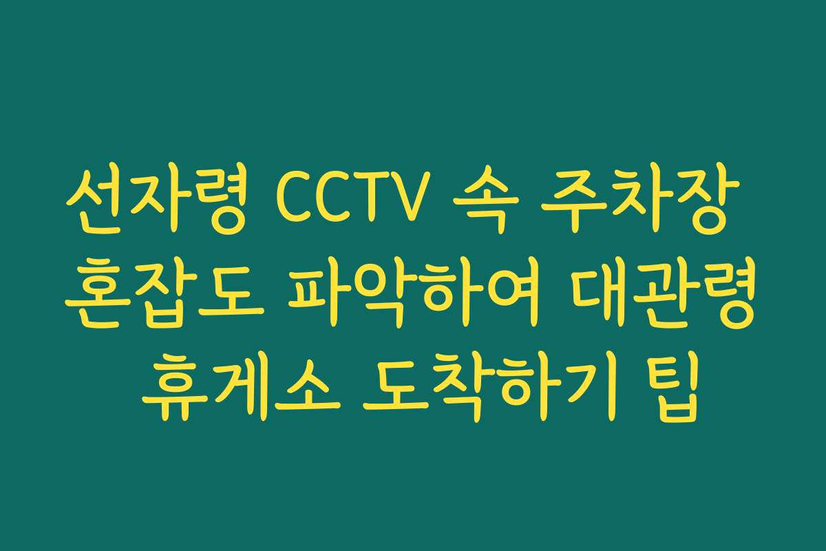 선자령 CCTV 속 주차장 혼잡도 파악하여 대관령 휴게소 도착하기 팁
