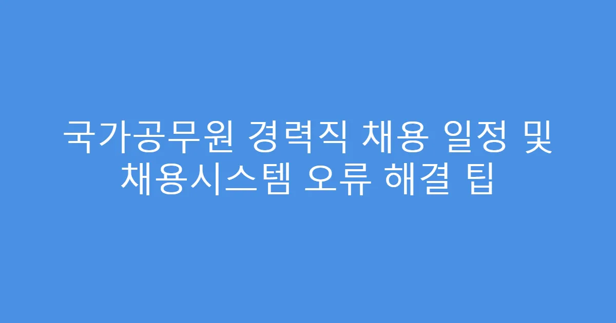 국가공무원 경력직 채용 일정 및 채용시스템 오류 해결 팁