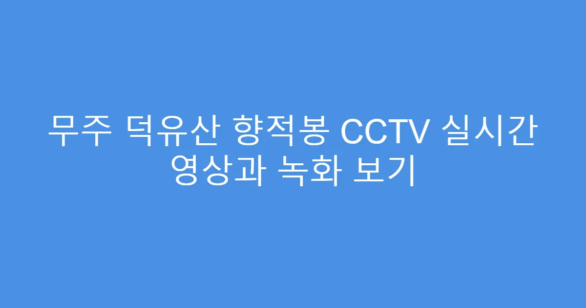 무주 덕유산 향적봉 CCTV 실시간 영상과 녹화 보기
