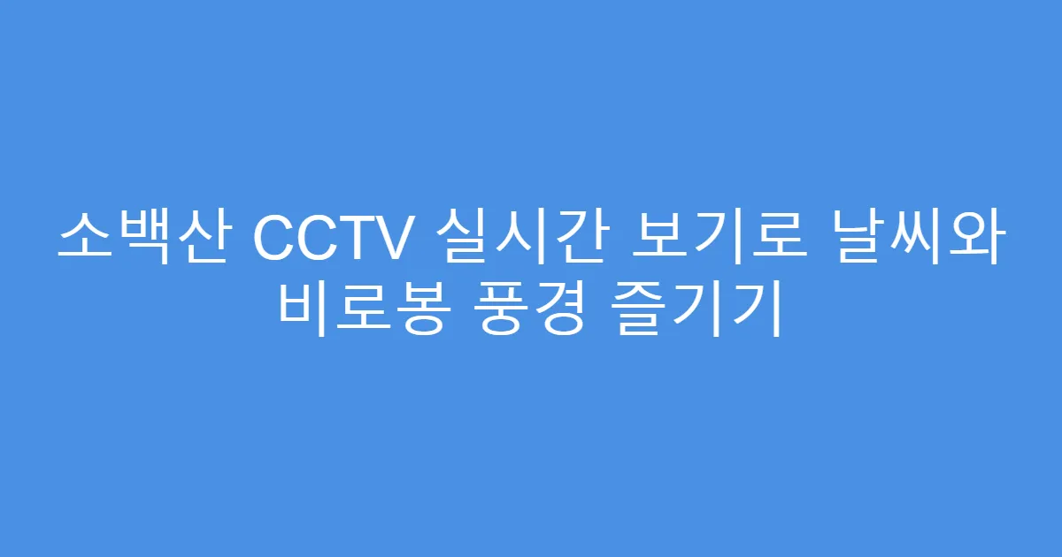 소백산 CCTV 실시간 보기로 날씨와 비로봉 풍경 즐기기