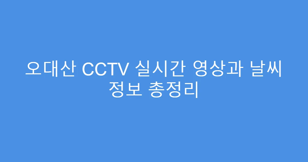오대산 CCTV 실시간 영상과 날씨 정보 총정리