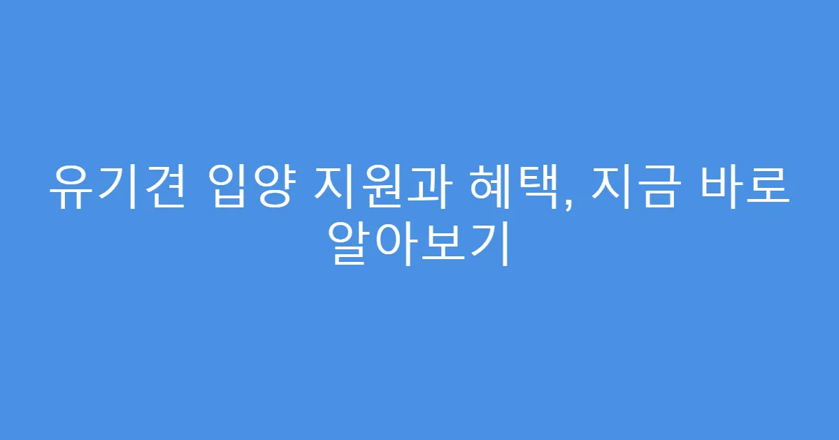 유기견 입양 지원과 혜택, 지금 바로 알아보기