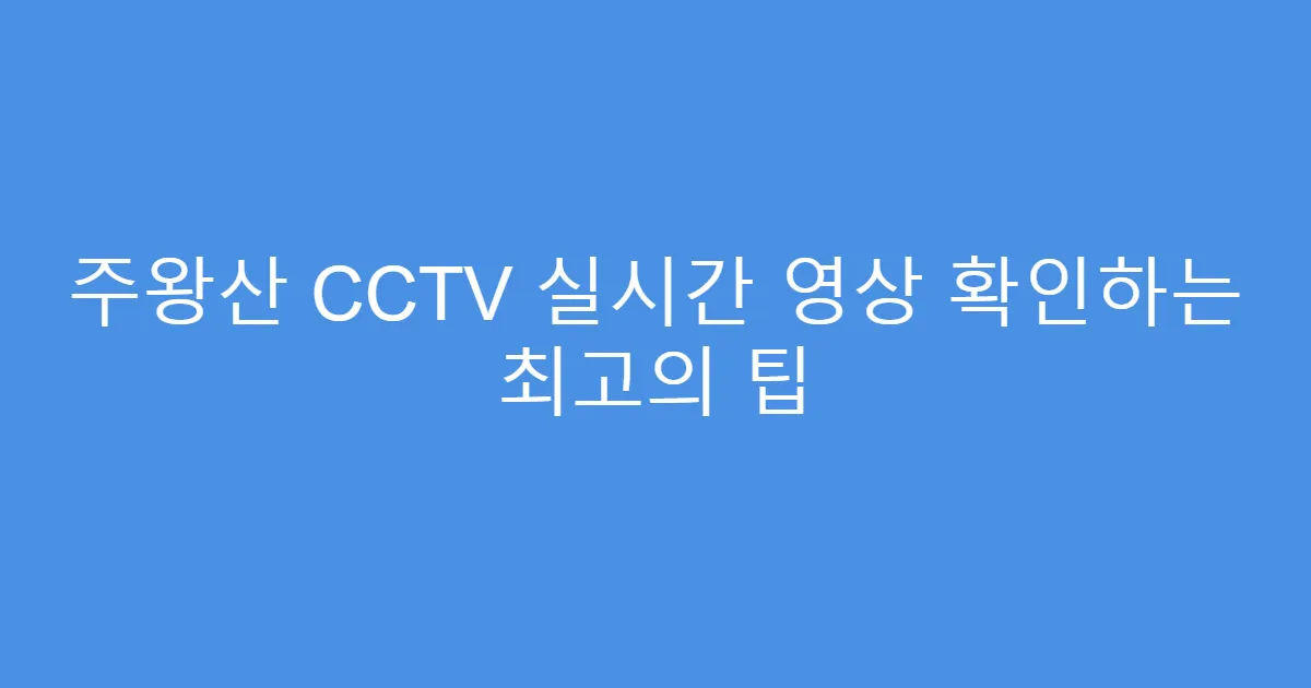 주왕산 CCTV 실시간 영상 확인하는 최고의 팁