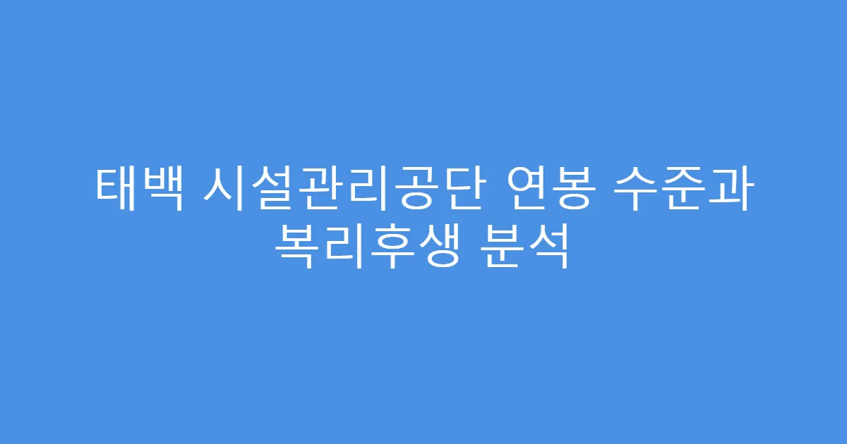 태백 시설관리공단 연봉 수준과 복리후생 분석