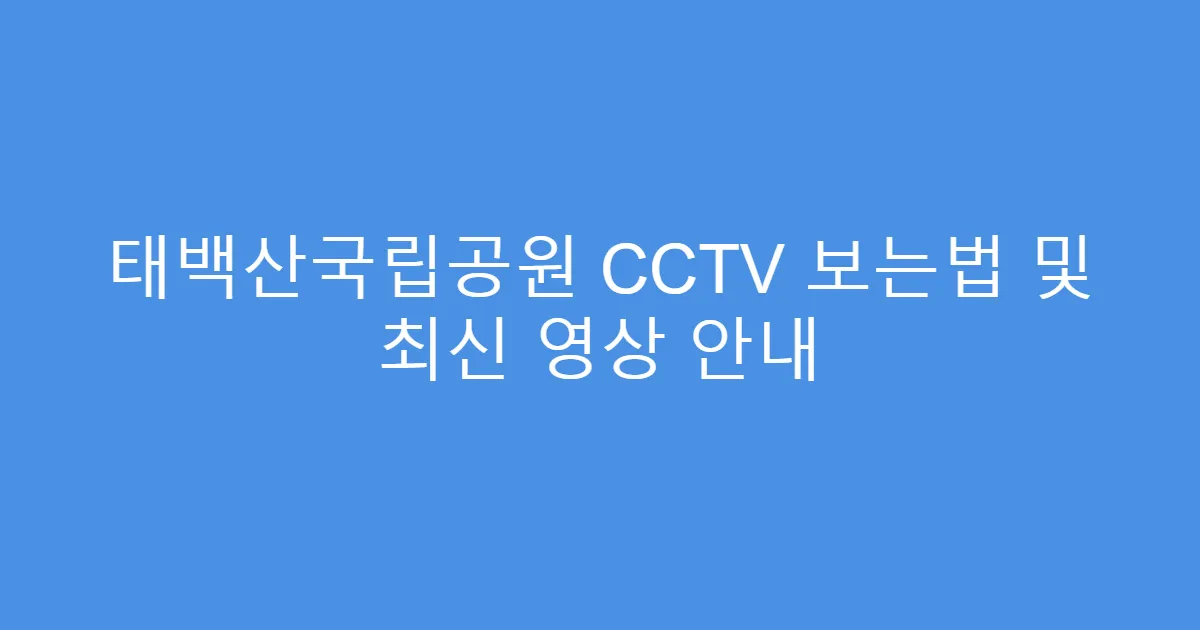 태백산국립공원 CCTV 보는법 및 최신 영상 안내