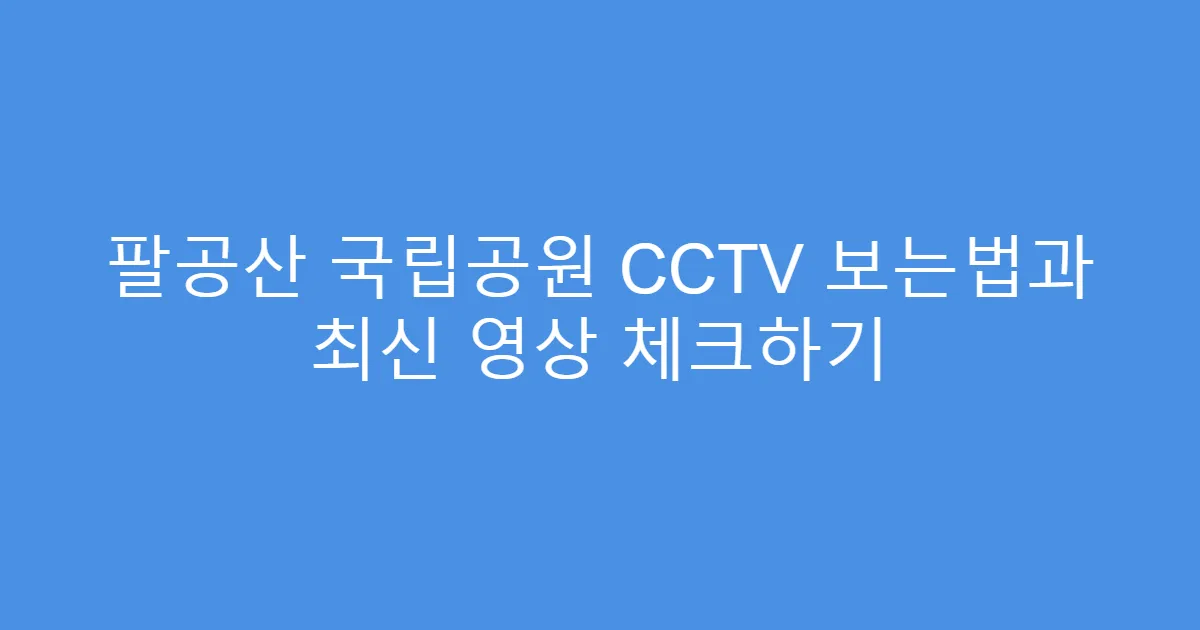 팔공산 국립공원 CCTV 보는법과 최신 영상 체크하기
