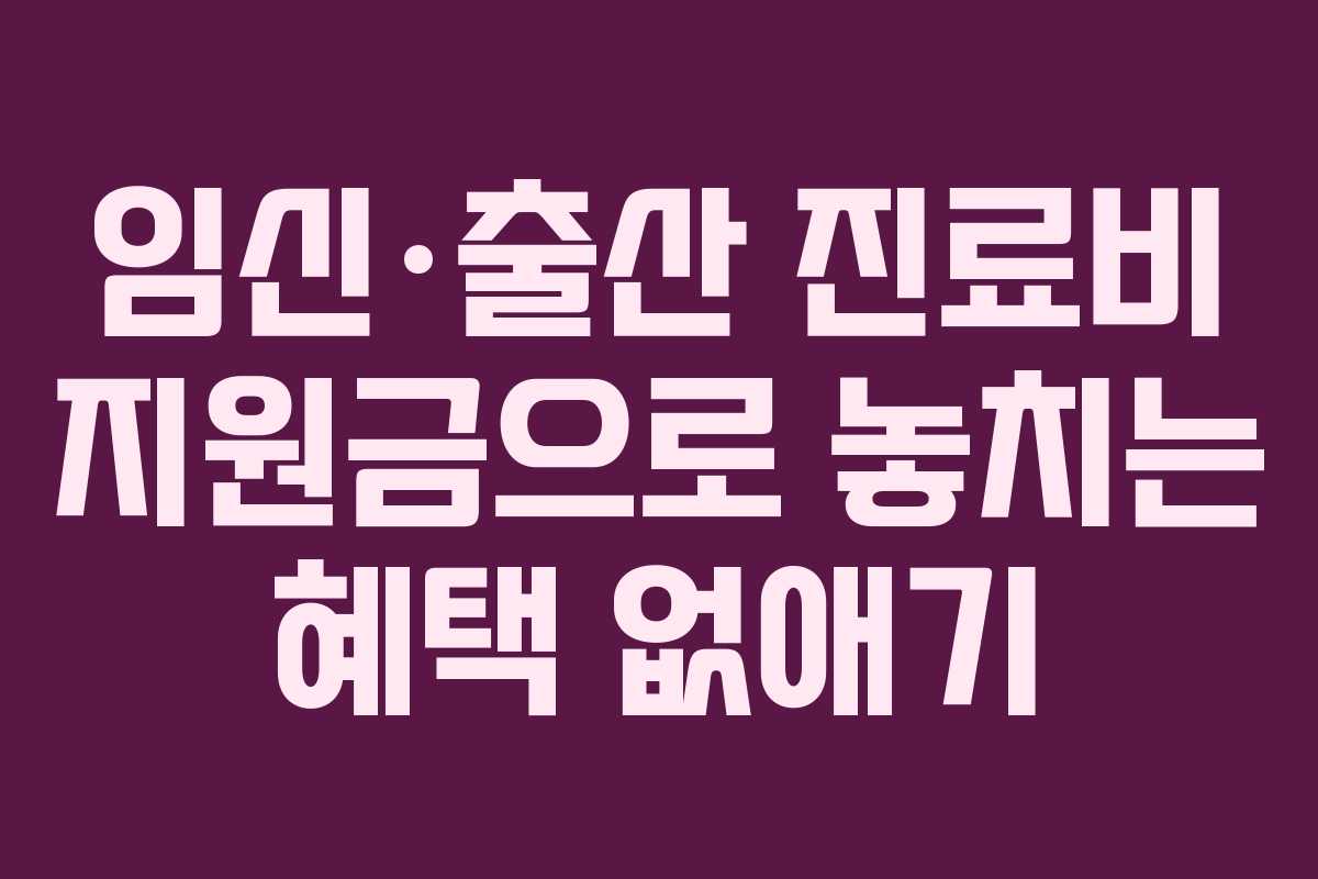 임신·출산 진료비 지원금으로 놓치는 혜택 없애기