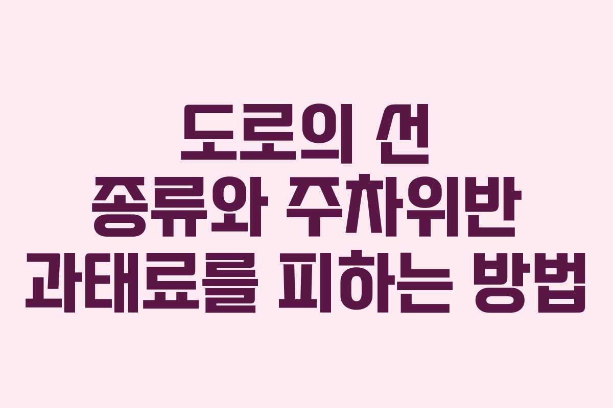 도로의 선 종류와 주차위반 과태료를 피하는 방법