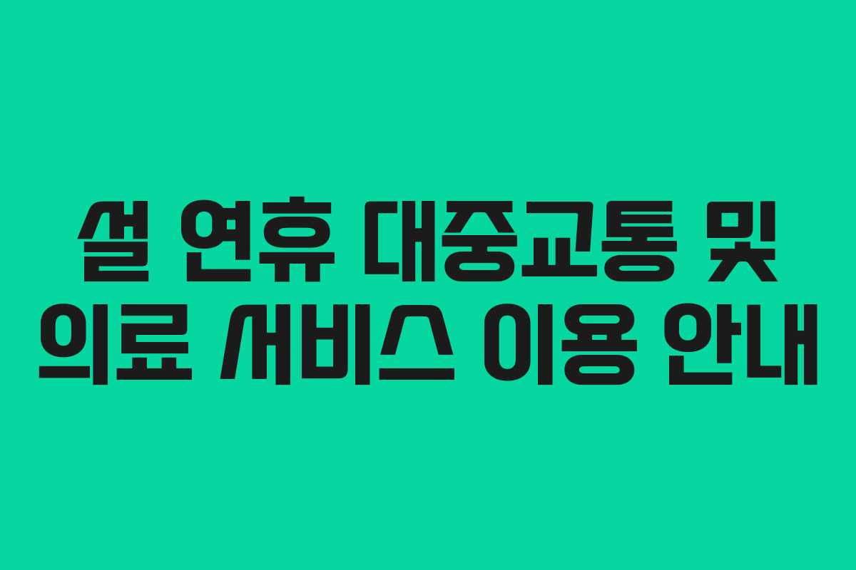 설 연휴 대중교통 및 의료 서비스 이용 안내
