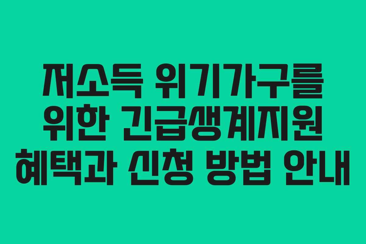 저소득 위기가구를 위한 긴급생계지원 혜택과 신청 방법 안내