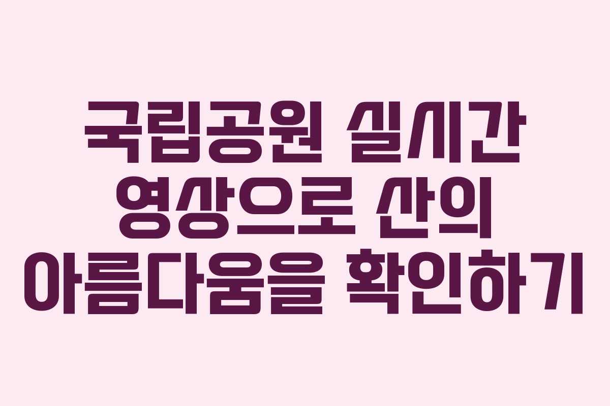 국립공원 실시간 영상으로 산의 아름다움을 확인하기