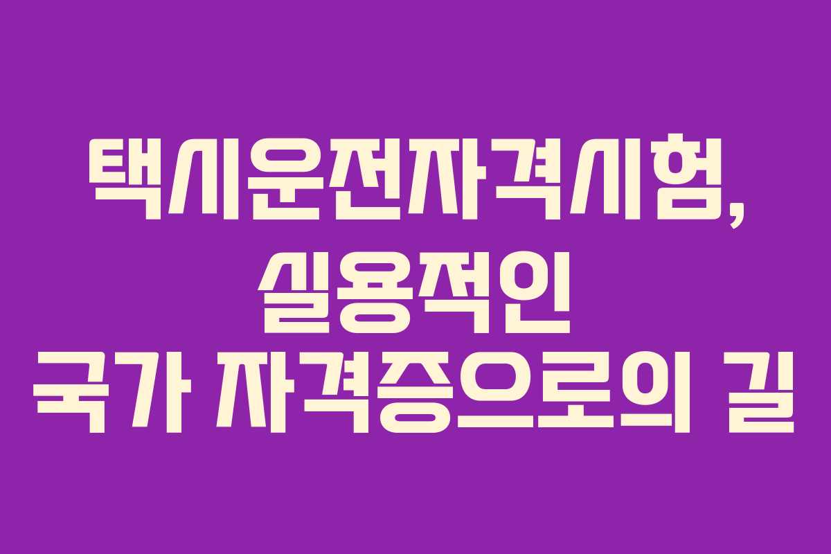 택시운전자격시험, 실용적인 국가 자격증으로의 길