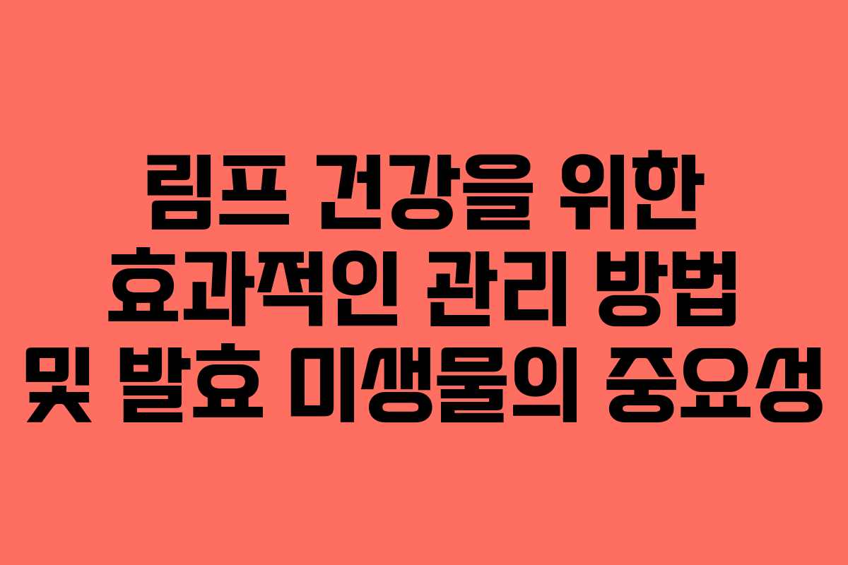 림프 건강을 위한 효과적인 관리 방법 및 발효 미생물의 중요성