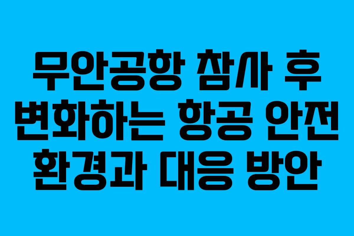 무안공항 참사 후 변화하는 항공 안전 환경과 대응 방안