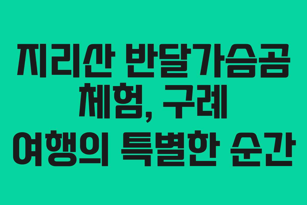 지리산 반달가슴곰 체험, 구례 여행의 특별한 순간