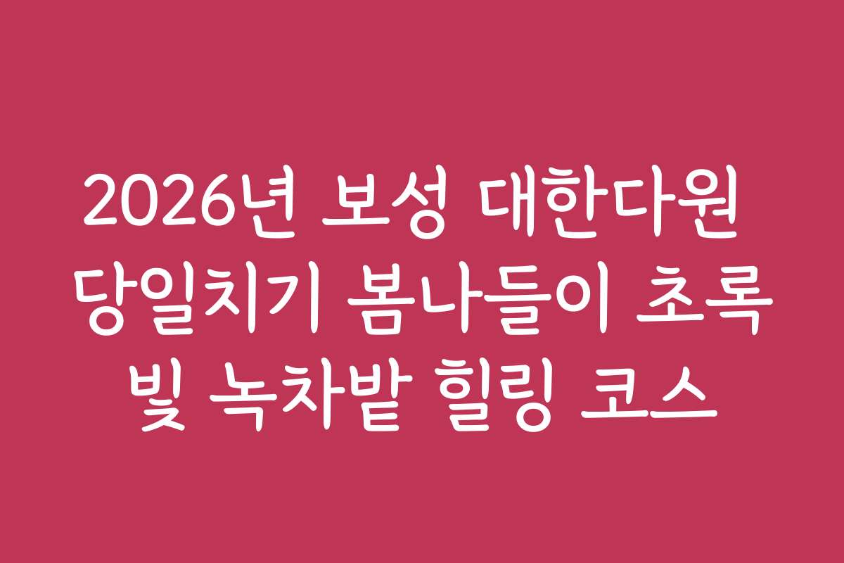 2026년 보성 대한다원 당일치기 봄나들이 초록빛 녹차밭 힐링 코스