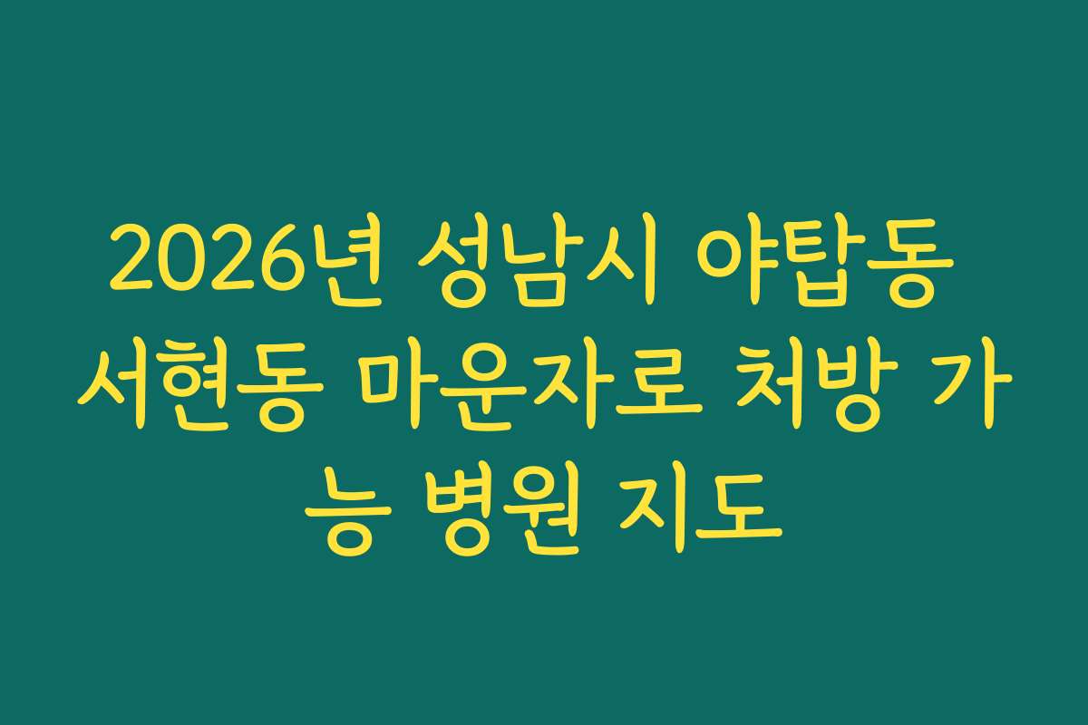 2026년 성남시 야탑동 서현동 마운자로 처방 가능 병원 지도