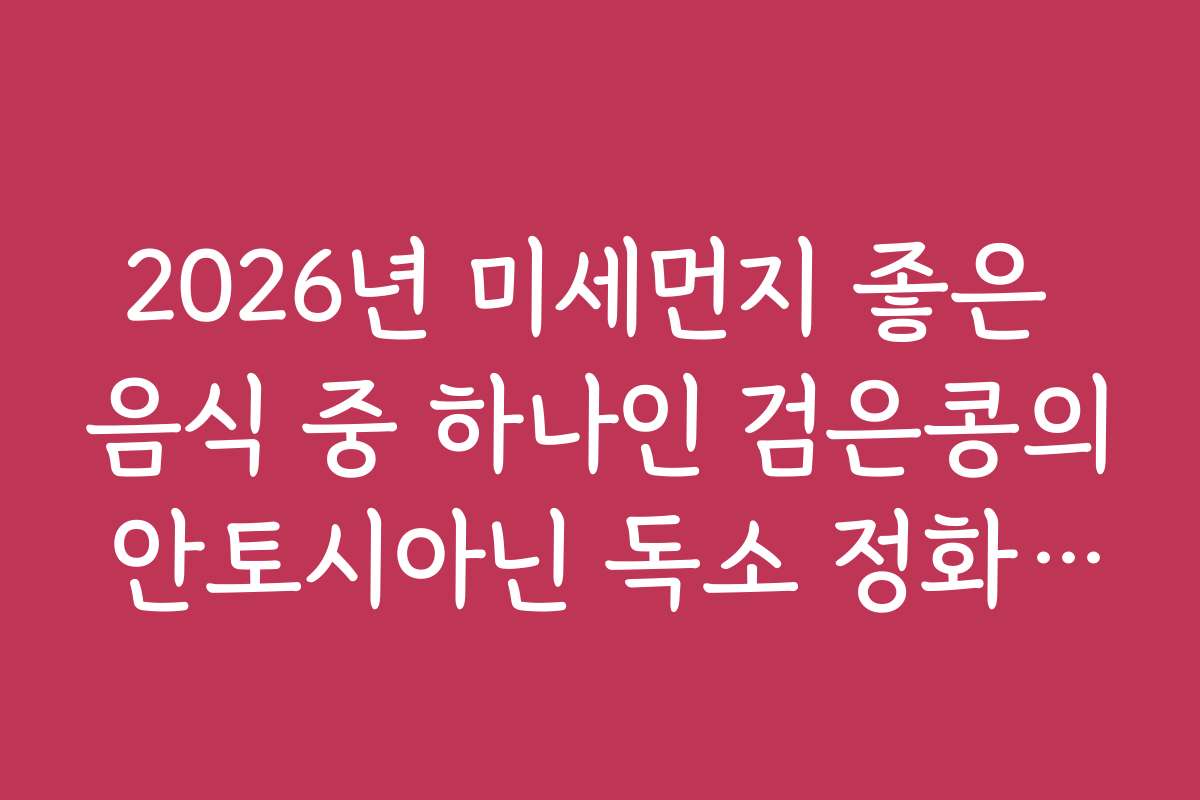 2026년 미세먼지 좋은 음식 중 하나인 검은콩의 안토시아닌 독소 정화 작용