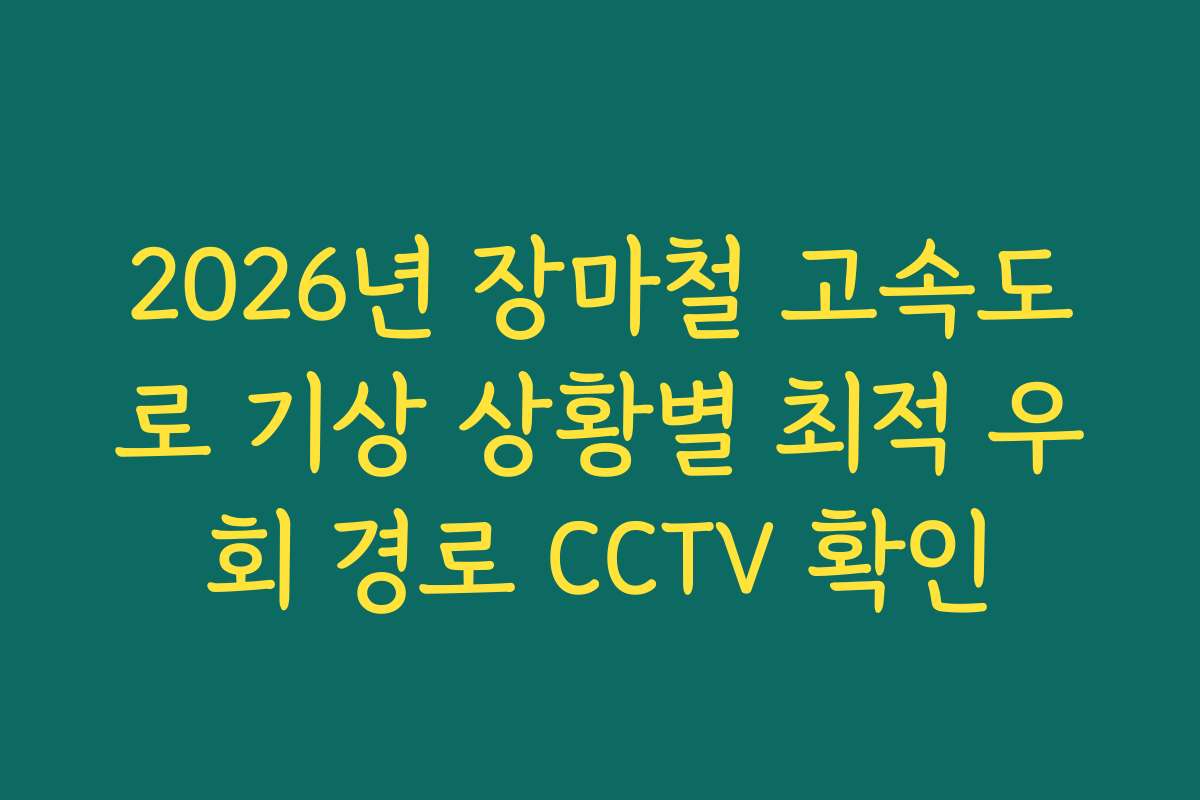 2026년 장마철 고속도로 기상 상황별 최적 우회 경로 CCTV 확인