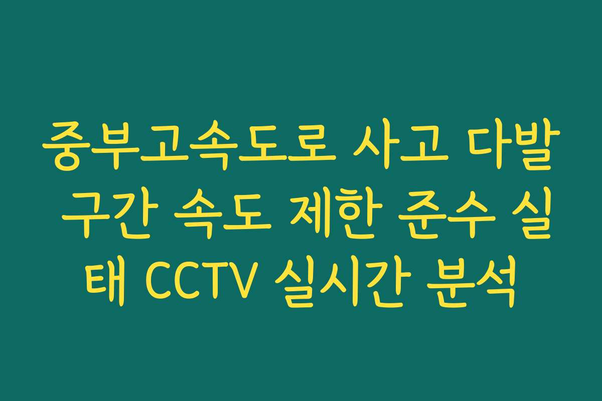 중부고속도로 사고 다발 구간 속도 제한 준수 실태 CCTV 실시간 분석