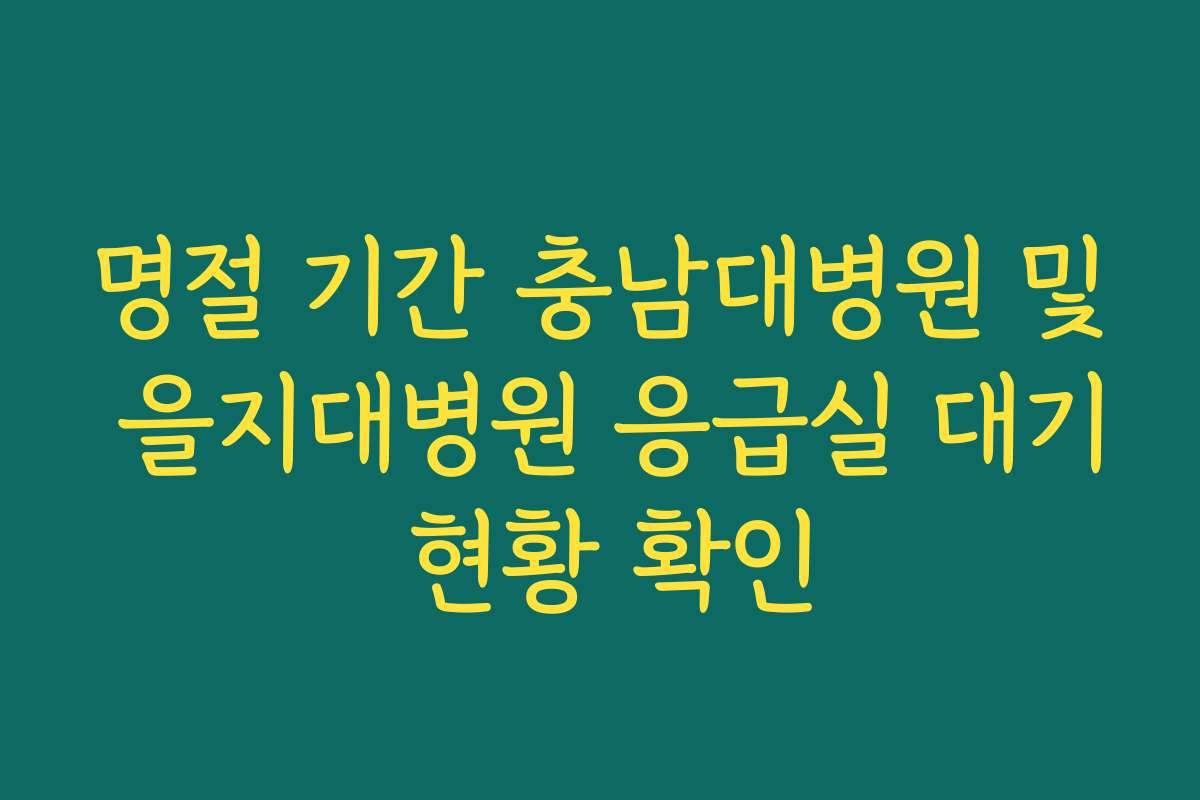 명절 기간 충남대병원 및 을지대병원 응급실 대기 현황 확인