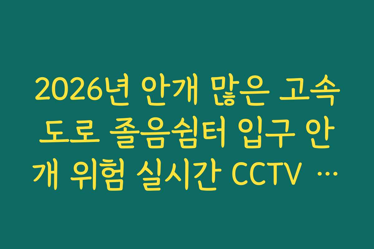 2026년 안개 많은 고속도로 졸음쉼터 입구 안개 위험 실시간 CCTV 확인