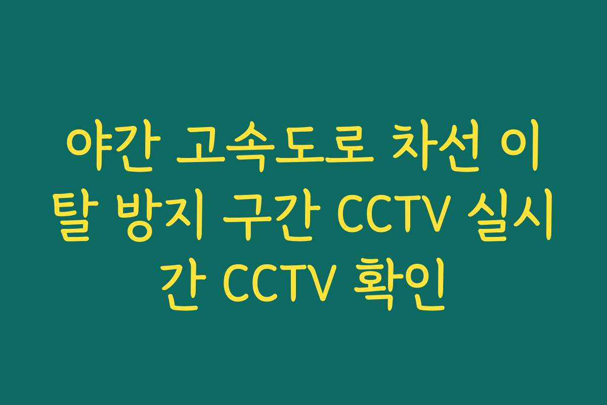 야간 고속도로 차선 이탈 방지 구간 CCTV 실시간 CCTV 확인